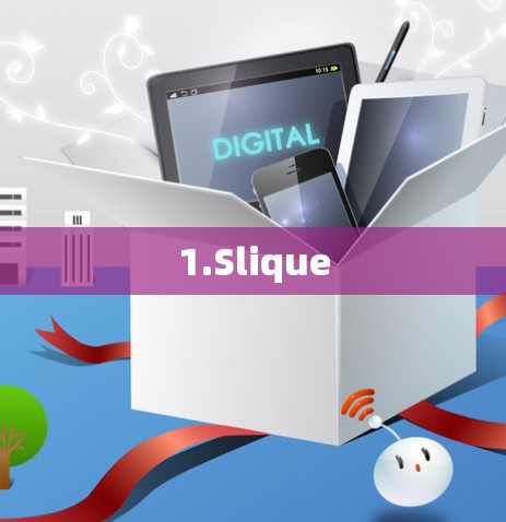 1.Slique