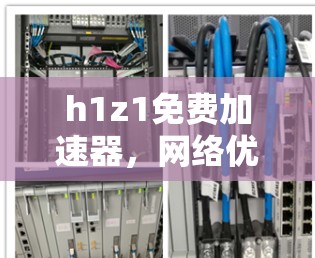 h1z1免费加速器,网络优化的终极选择