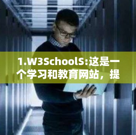 1.W3SchoolS:这是一个学习和教育网站,提供免费的加速器,功能丰富,包括自动加速和自动关闭后台程序