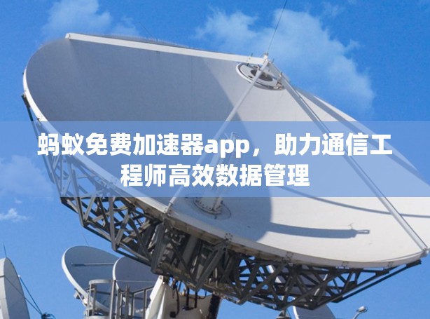 蚂蚁免费加速器app，助力通信工程师高效数据管理
