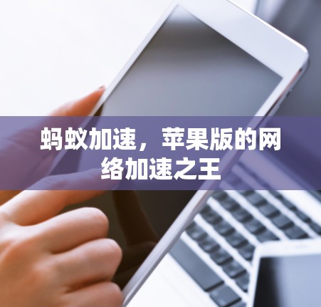蚂蚁加速,苹果版的网络加速之王 蚂蚁加速,苹果版的网络加速之王