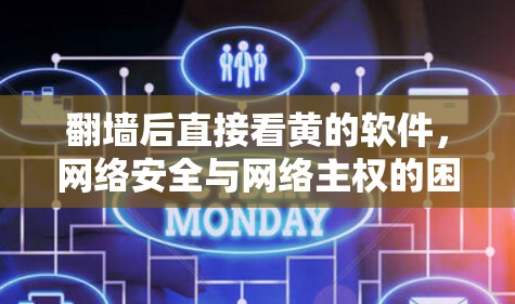 翻墙后直接看黄的软件，网络安全与网络主权的困境与挑战
