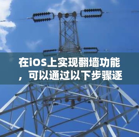在iOS上实现翻墙功能,可以通过以下步骤逐步操作 在iOS上实现翻墙功能,可以通过以下步骤逐步操作