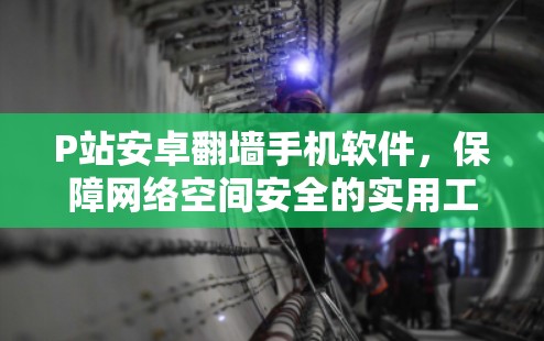 P站安卓翻墙手机软件,保障网络空间安全的实用工具 P站安卓翻墙手机软件,保障网络空间安全的实用工具