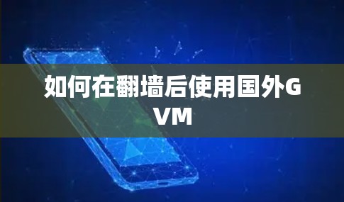 如何在翻墙后使用国外GVM 如何在翻墙后使用国外GVM