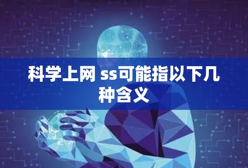 科学上网 ss可能指以下几种含义