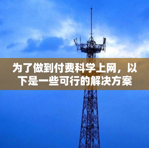 为了做到付费科学上网，以下是一些可行的解决方案