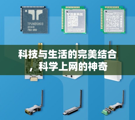 科技与生活的完美结合，科学上网的神奇