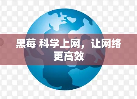 黑莓 科学上网,让网络更高效 黑莓 科学上网,让网络更高效
