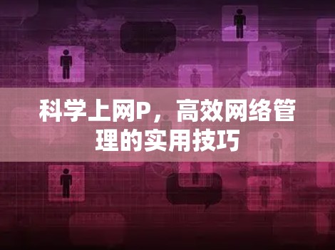 科学上网P,高效网络管理的实用技巧 科学上网P,高效网络管理的实用技巧