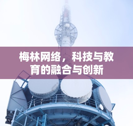 梅林网络,科技与教育的融合与创新 梅林网络,科技与教育的融合与创新
