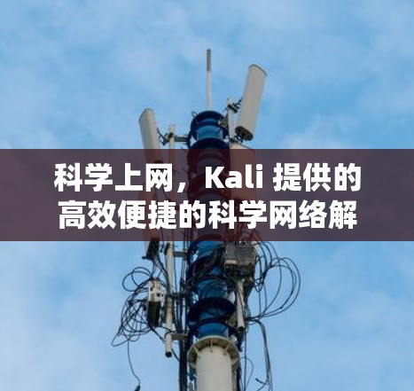 科学上网,Kali 提供的高效便捷的科学网络解决方案 科学上网,Kali 提供的高效便捷的科学网络解决方案