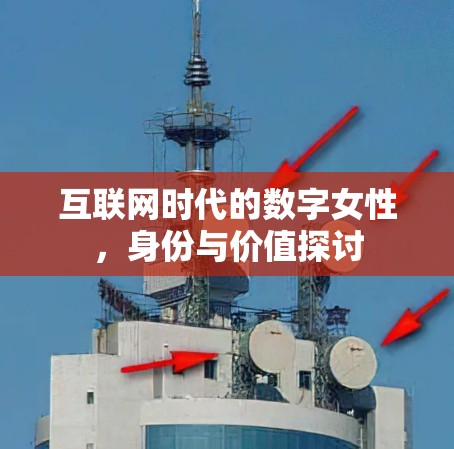 互联网时代的数字女性,身份与价值探讨 互联网时代的数字女性,身份与价值探讨