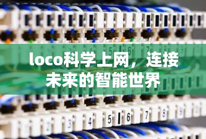 loco科学上网,连接未来的智能世界 loco科学上网,连接未来的智能世界