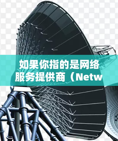 如果你指的是网络服务提供商（Network Service Provider）可以提供更多信息，以便进一步解答
