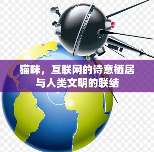 猫咪,互联网的诗意栖居与人类文明的联结 猫咪,互联网的诗意栖居与人类文明的联结