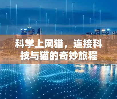 科学上网猫，连接科技与猫的奇妙旅程