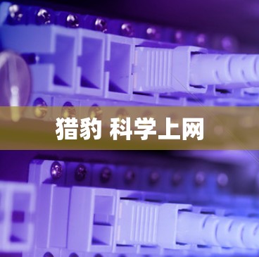 猎豹 科学上网