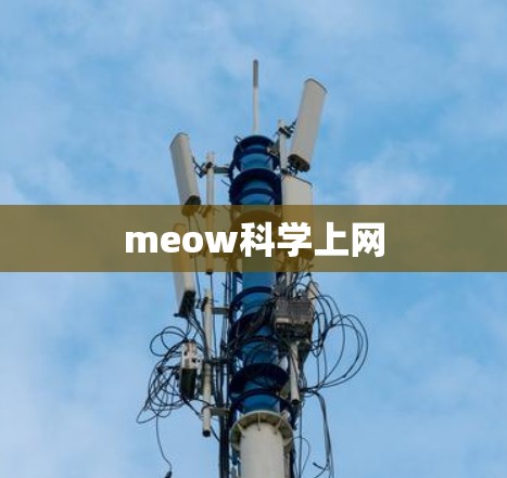 meow科学上网 meow科学上网