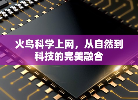 火鸟科学上网,从自然到科技的完美融合 火鸟科学上网,从自然到科技的完美融合