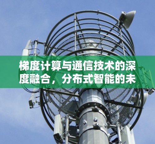 梯度计算与通信技术的深度融合,分布式智能的未来挑战与机遇 梯度计算与通信技术的深度融合,分布式智能的未来挑战与机遇