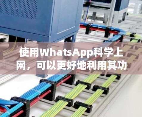 使用WhatsApp科学上网，可以更好地利用其功能来提高效率和安全性。以下是一些实用的技巧和建议
