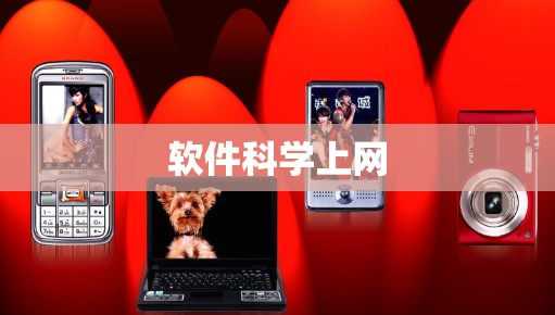 软件科学上网