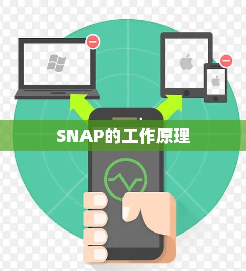 SNAP的工作原理 SNAP的工作原理