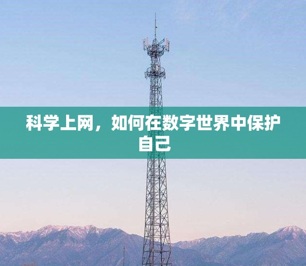 科学上网,如何在数字世界中保护自己 科学上网,如何在数字世界中保护自己