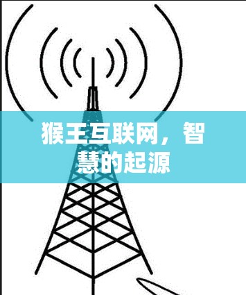 猴王互联网,智慧的起源 猴王互联网,智慧的起源