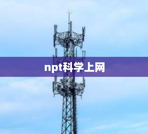 npt科学上网 npt科学上网
