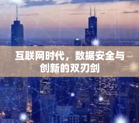 互联网时代,数据安全与创新的双刃剑 互联网时代,数据安全与创新的双刃剑