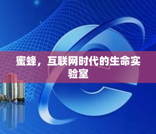 蜜蜂，互联网时代的生命实验室