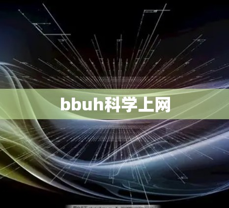 bbuh科学上网