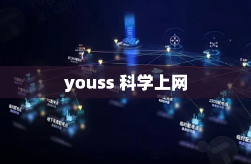 youss 科学上网