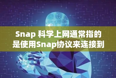 Snap 科学上网通常指的是使用Snap协议来连接到特定的服务器或网站。以下是一些可能的解释和解决方法