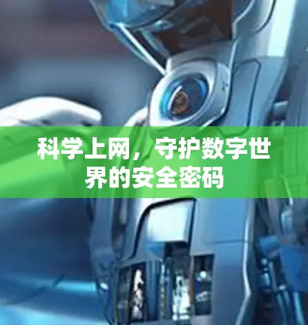 科学上网，守护数字世界的安全密码