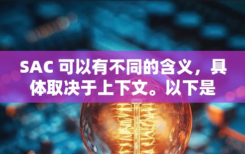 SAC 可以有不同的含义，具体取决于上下文。以下是一些可能的解释