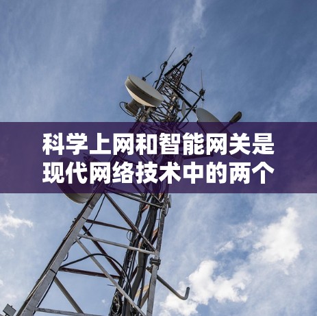 科学上网和智能网关是现代网络技术中的两个关键组成部分,它们在提升用户体验和效率方面发挥了重要作用。以下是对这两个概念的详细分析 科学上网和智能网关是现代网络技术中的两个关键组成部分,它们在提升用户体验和效率方面发挥了重要作用。以下是对这两个概念的详细分析