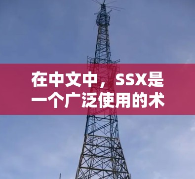 在中文中，SSX是一个广泛使用的术语，其含义因上下文而异，主要涉及以下几个方面