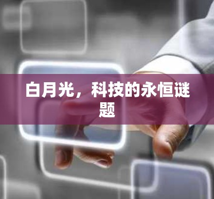 白月光,科技的永恒谜题 白月光,科技的永恒谜题