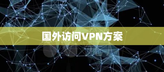 国外访问VPN方案 国外访问VPN方案