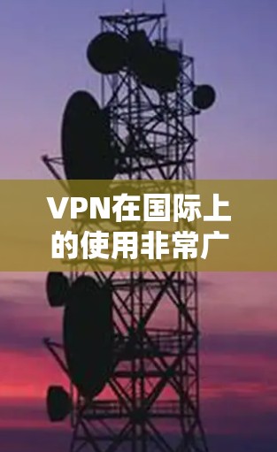 VPN在国际上的使用非常广泛，用户可以根据自己的需求和情况选择适合的VPN服务。以下是国际VPN的主要特点和资源