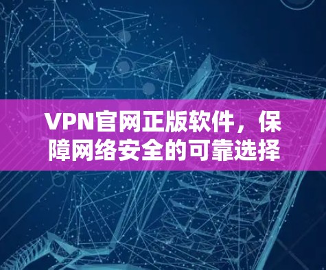VPN官网正版软件,保障网络安全的可靠选择 VPN官网正版软件,保障网络安全的可靠选择
