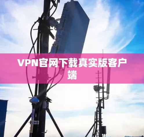 VPN官网下载真实版客户端 VPN官网下载真实版客户端