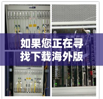 如果您正在寻找下载海外版的VPN软件，以下是一些推荐和资源，帮助您找到合适的国际VPN服务