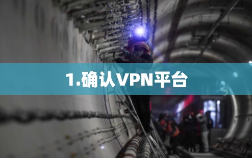 1.确认VPN平台 1.确认VPN平台