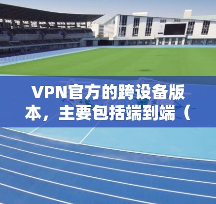VPN官方的跨设备版本，主要包括端到端（E2E）和端到端网络（E2E-NET）两种类型。以下是它们的特点和应用场景的详细解释