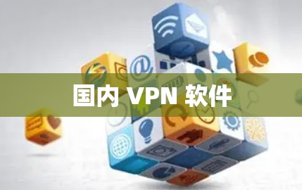 国内 VPN 软件 国内 VPN 软件