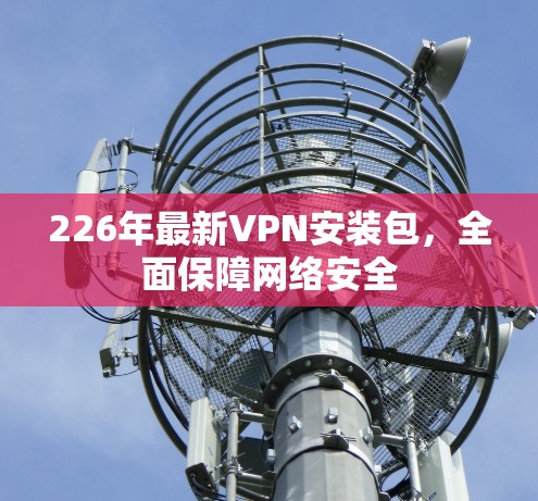226年最新VPN安装包，全面保障网络安全